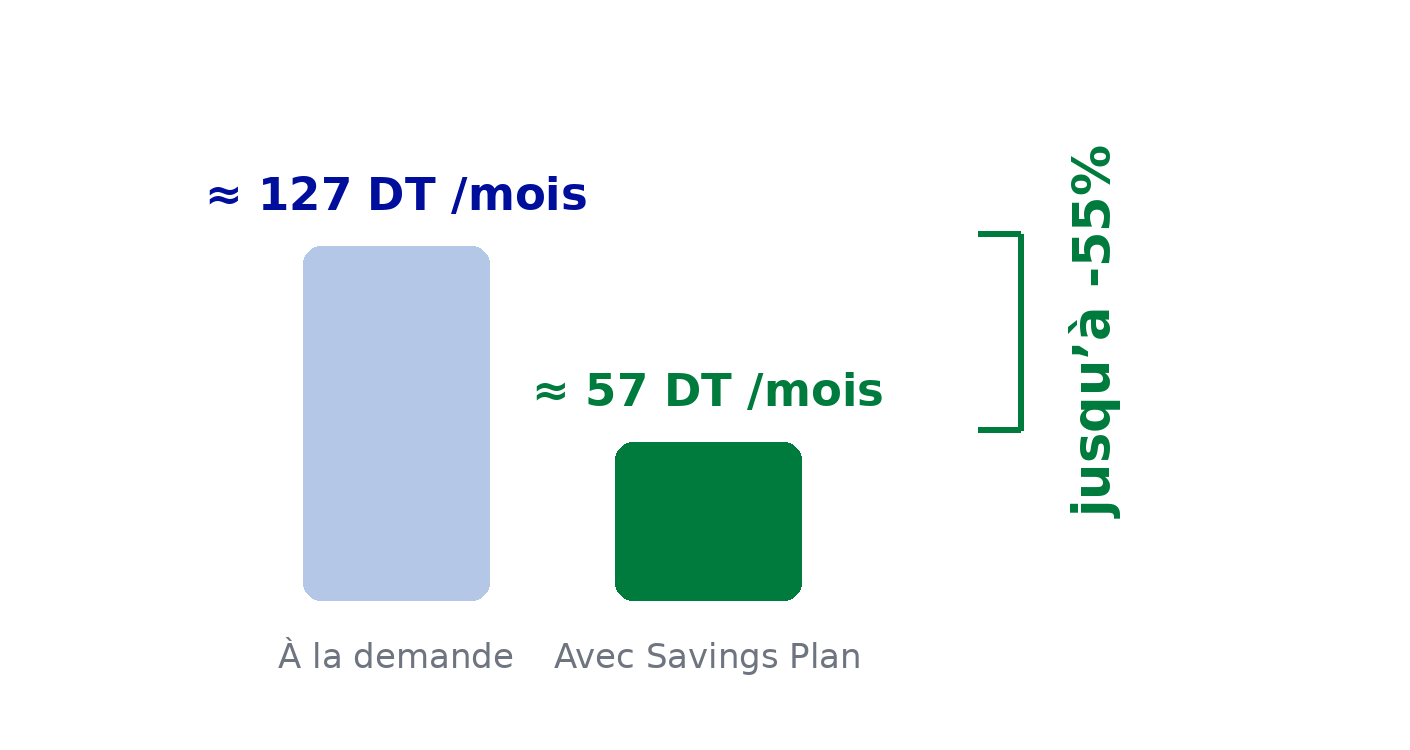 savings_plan_visual_fr-tn.png