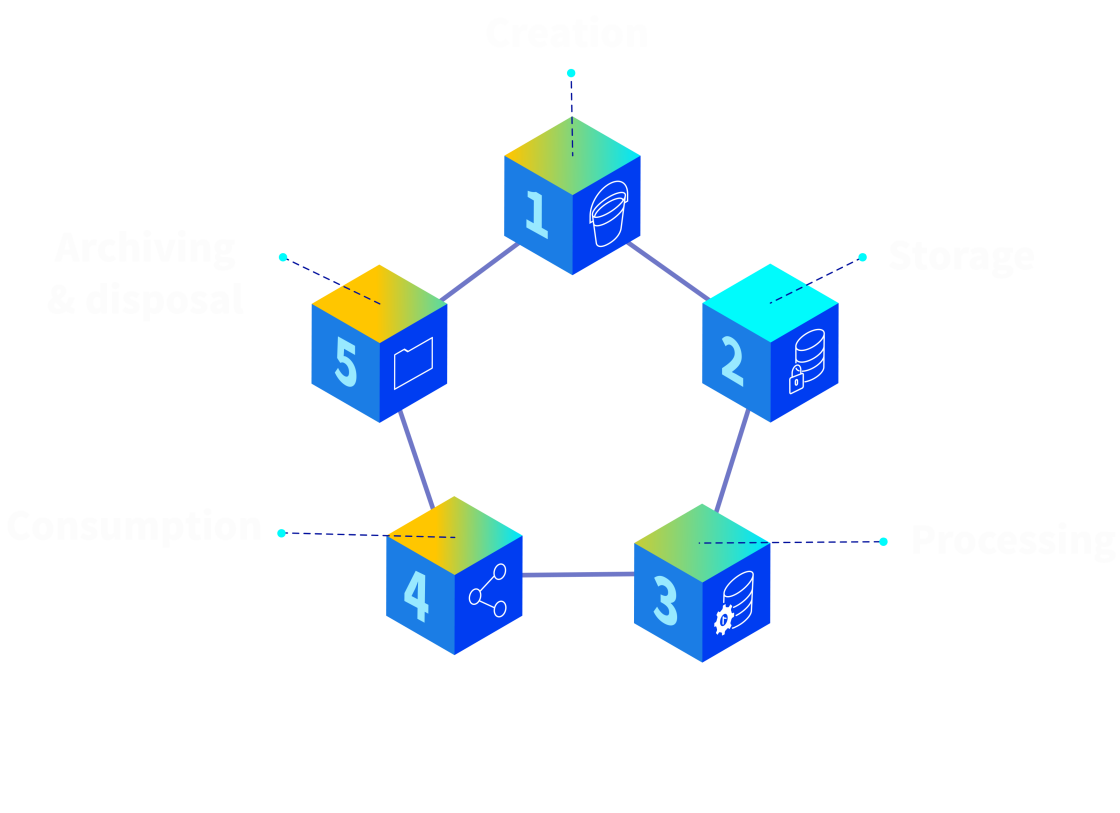 data lifecycle infographic