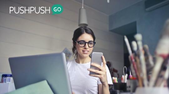 PushPushGo header