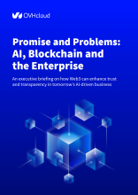 Promises and Problems AI Blockchain