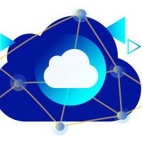 Network Visual
